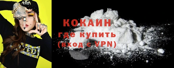 мдпв Елизово