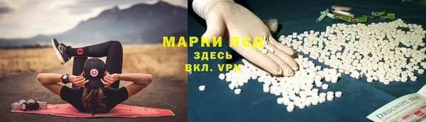 меф Ельня