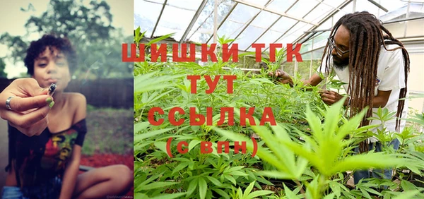 мдпв Елизово
