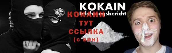 мдпв Елизово