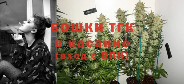 мдпв Елизово