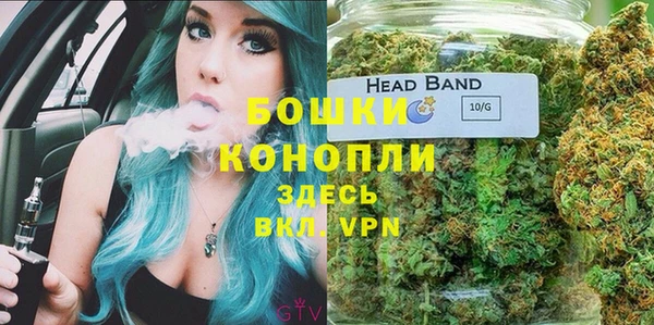 меф Ельня