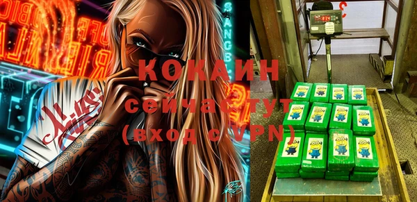 меф Ельня