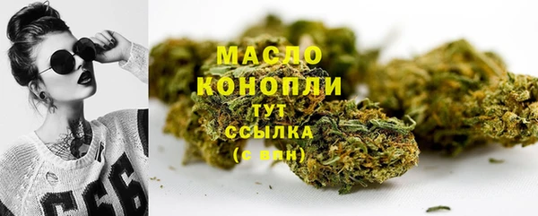 меф Ельня