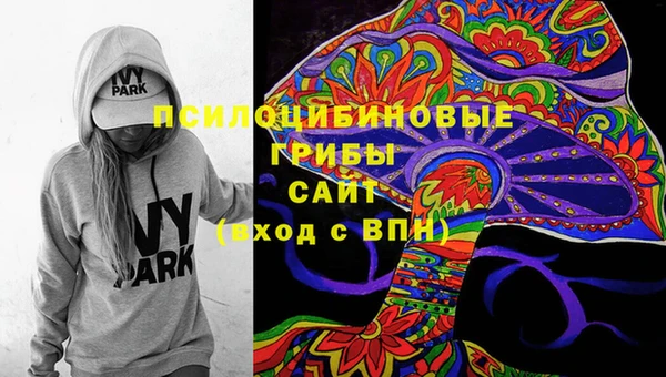 меф Ельня