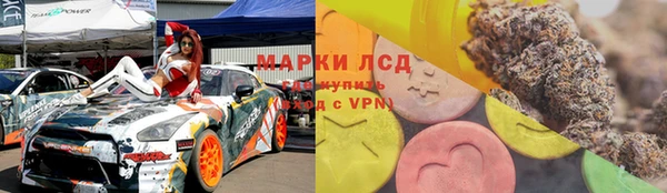 мдпв Елизово