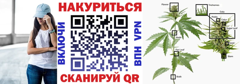МАРИХУАНА план  Купить закладки  Протвино 